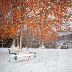 Winter-Ready Households: Staffing Strategies for the Cold Months Ahead