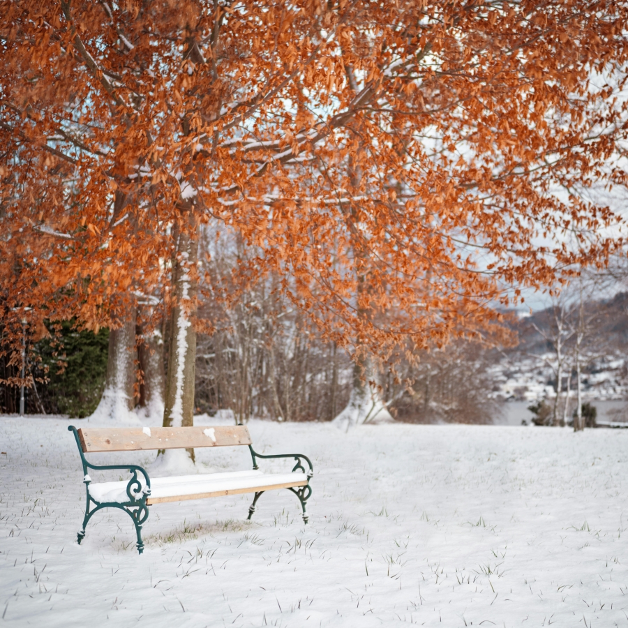 Winter-Ready Households: Staffing Strategies for the Cold Months Ahead