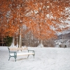 Winter-Ready Households: Staffing Strategies for the Cold Months Ahead