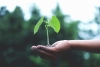 The Rise of Eco-Friendly Household Staffing: Green Practices for 2025